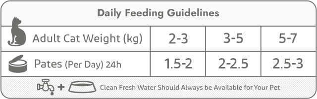 cat tins-daily feeding guidelines