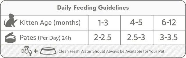 kitten tins-daily feeding guidelines kitten tins-daily feeding guidelines